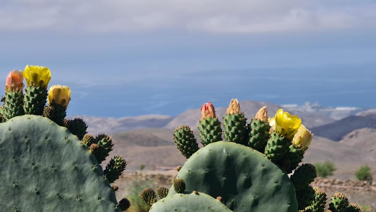 Puerto Rico Top Teide And Amadores View المظهر الخارجي الصورة
