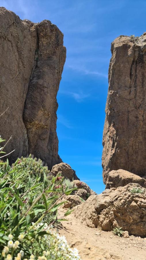 Puerto Rico Top Teide And Amadores View المظهر الخارجي الصورة