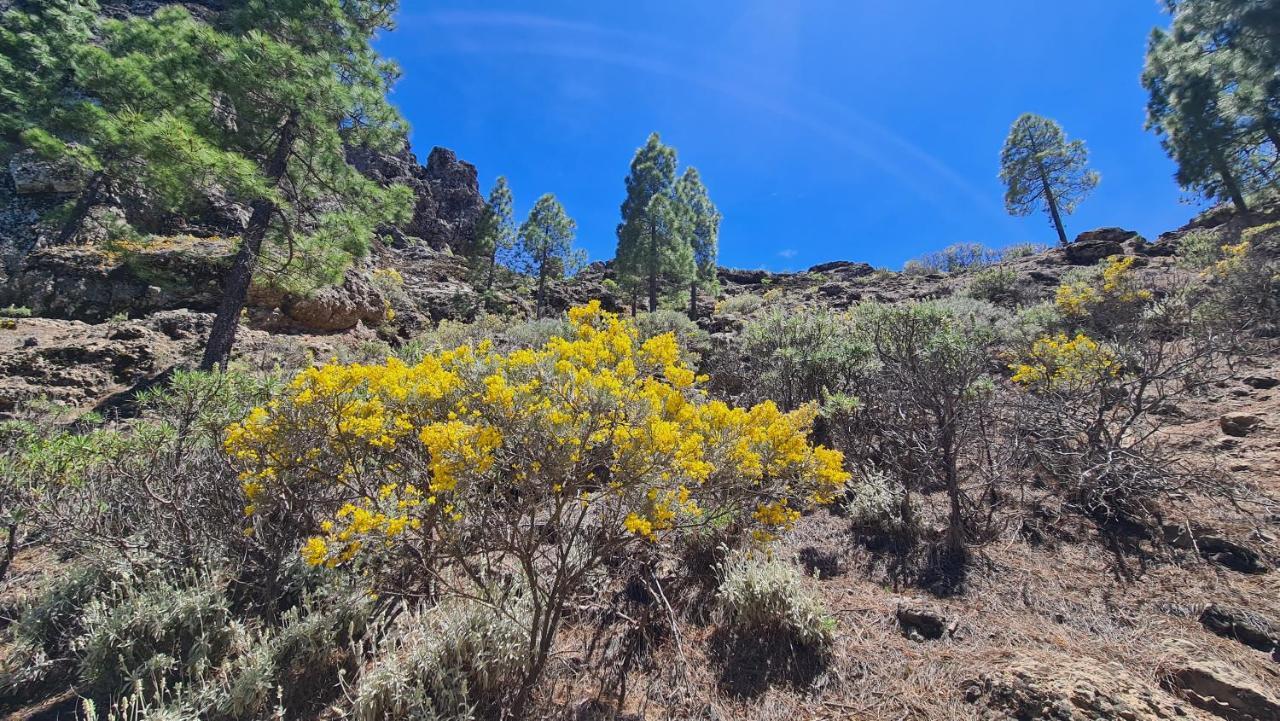 Puerto Rico Top Teide And Amadores View المظهر الخارجي الصورة