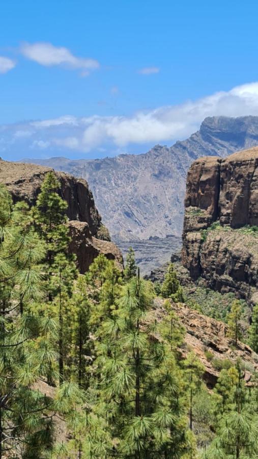 Puerto Rico Top Teide And Amadores View المظهر الخارجي الصورة